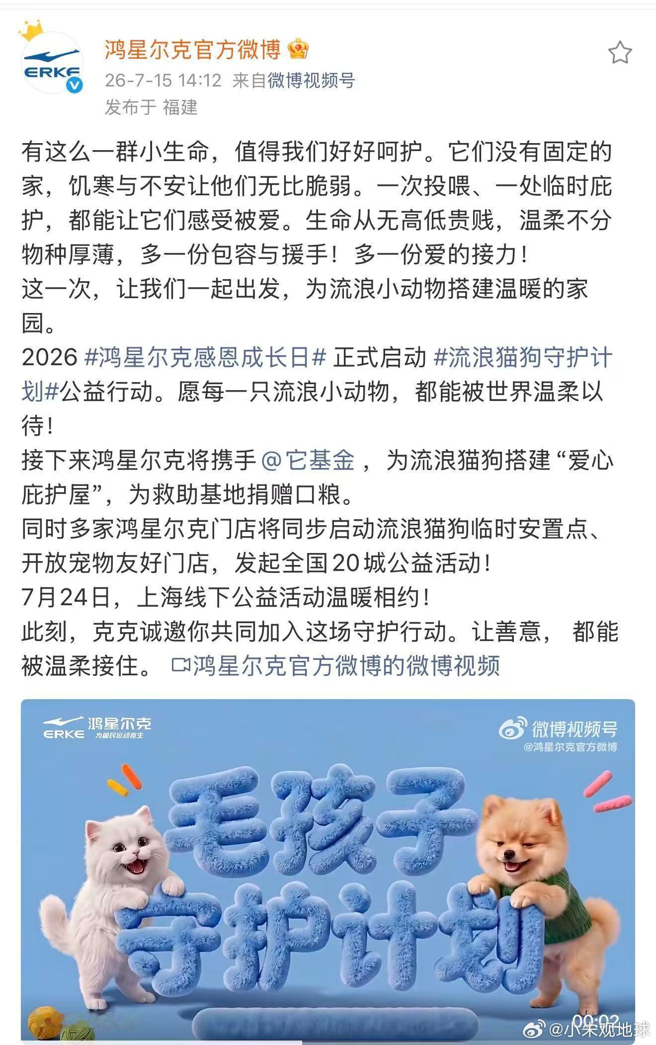目前，城市流浪动物的队伍正在悄然壮大。弃养与无序繁育，让这些小生命一出生就要面临