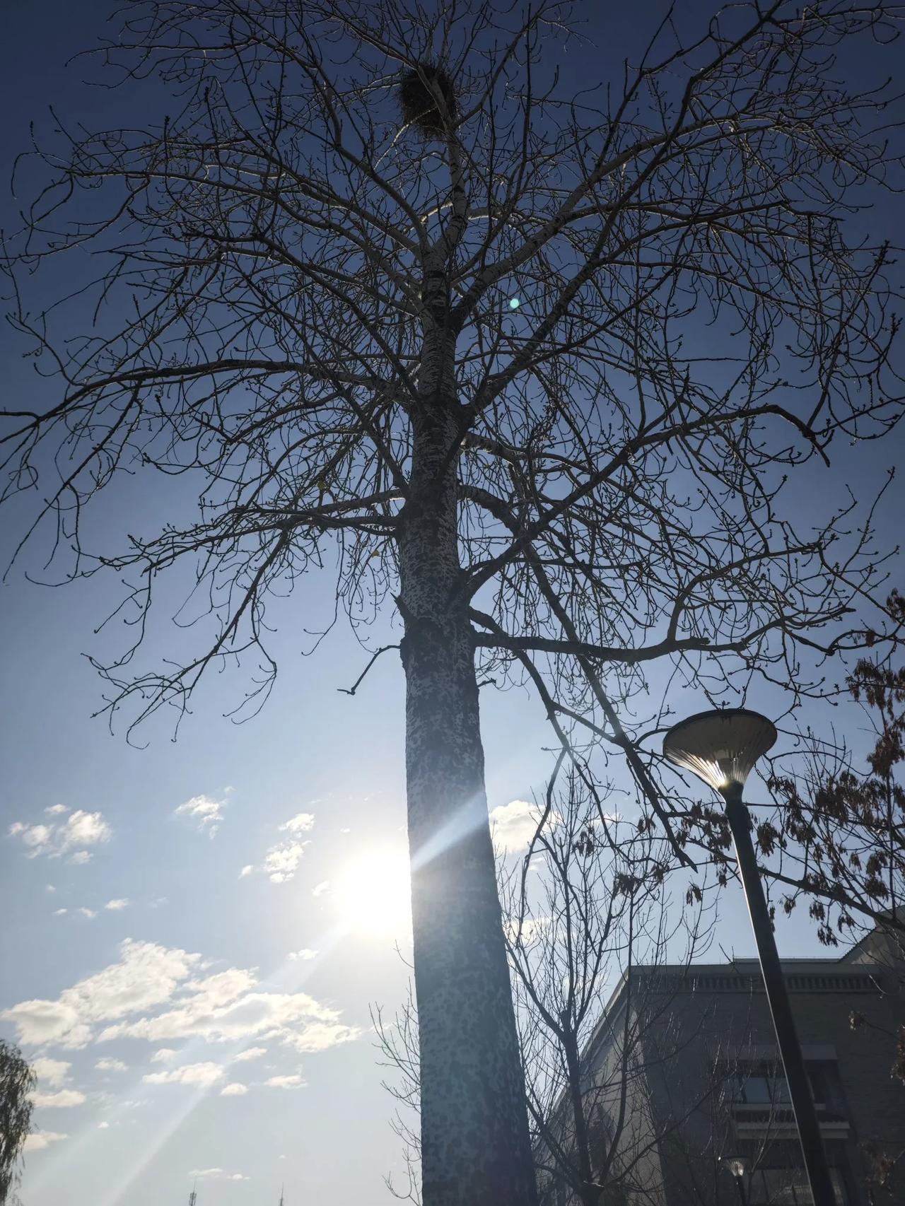 羡慕琼瑶，一生都在活自己！
作为普通人，一生都在身不由己！
忽然很喜欢琼瑶提到的