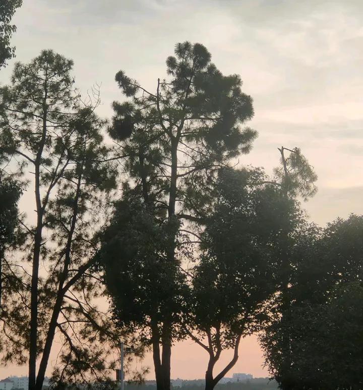 《忆江南•暑雨》
川陆渴，暑把世间囚。
好雨忽来清岁月，
惊雷乍起震神洲。
驱尽