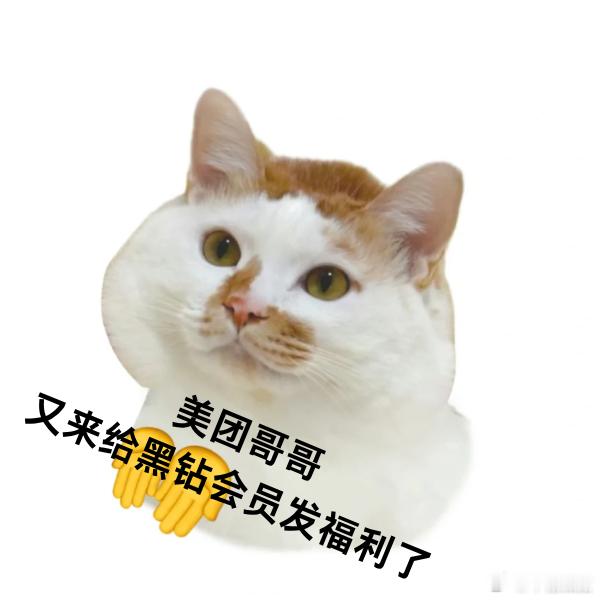 中网决赛偶遇郑恺李斯丹妮陆柯燃 不是哥们，中网决赛居然能偶遇郑恺李斯丹妮陆柯燃同