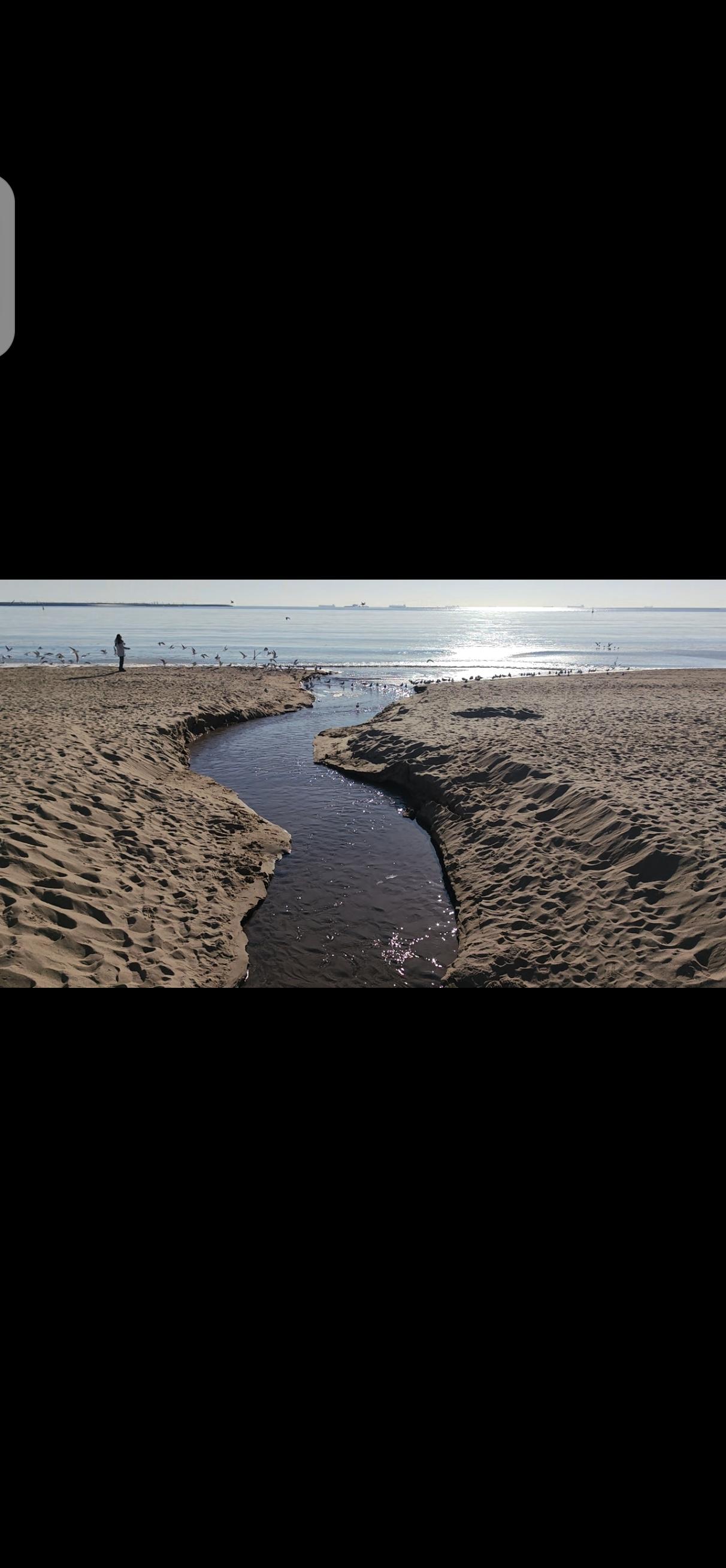家庭周边的海岸线，便成了我最常拜访的“客厅”。午后，踏上蜿蜒的木质栈道，脚步不自
