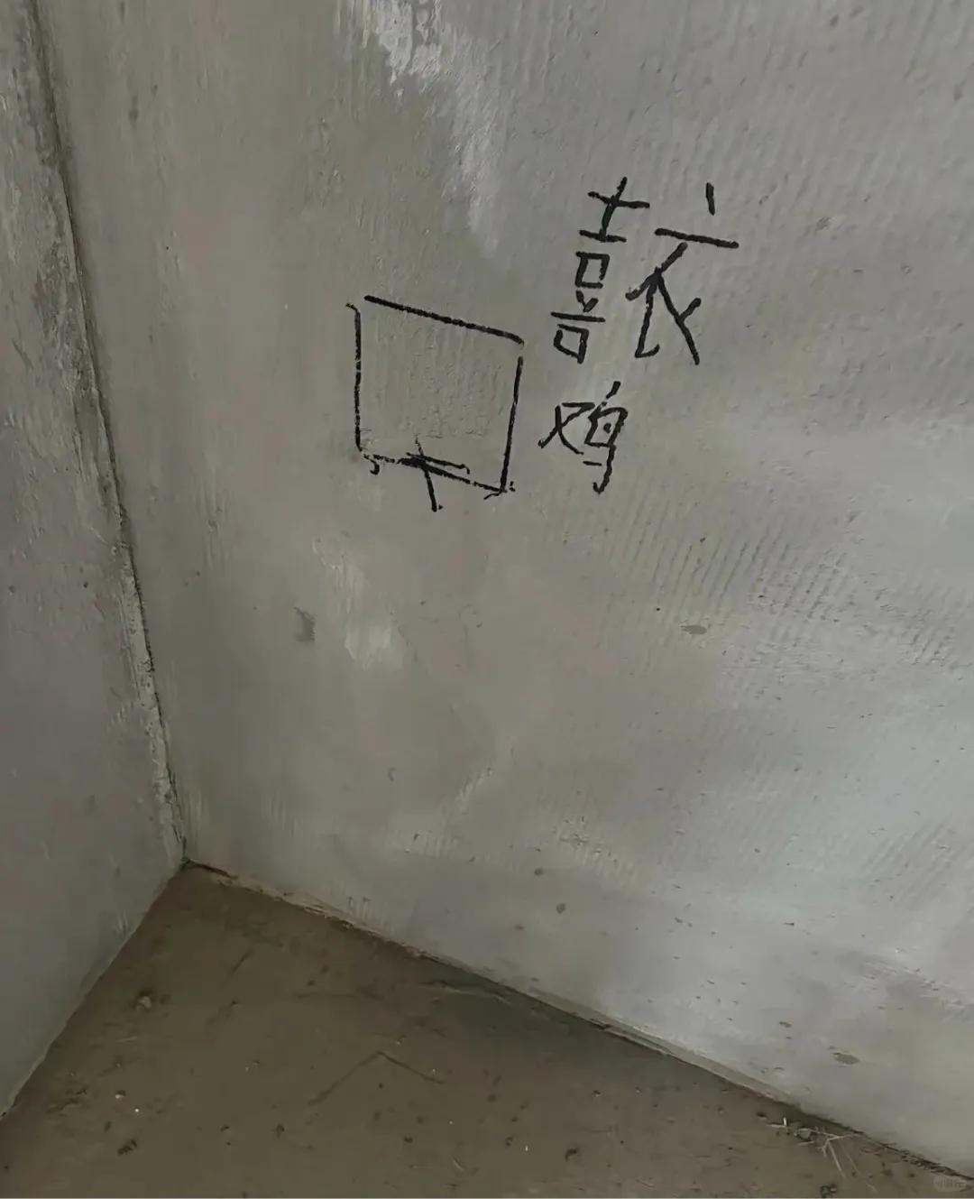 看到装修大叔的错别字，不知道为什么，我有点伤感......

他们大半辈子靠力气