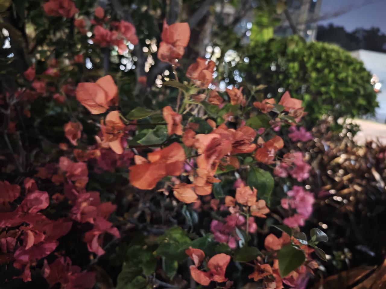 女性的一生，是被这人类的规则困在原地。
结婚生子耗尽了半生，帮扶子女、照顾老人与