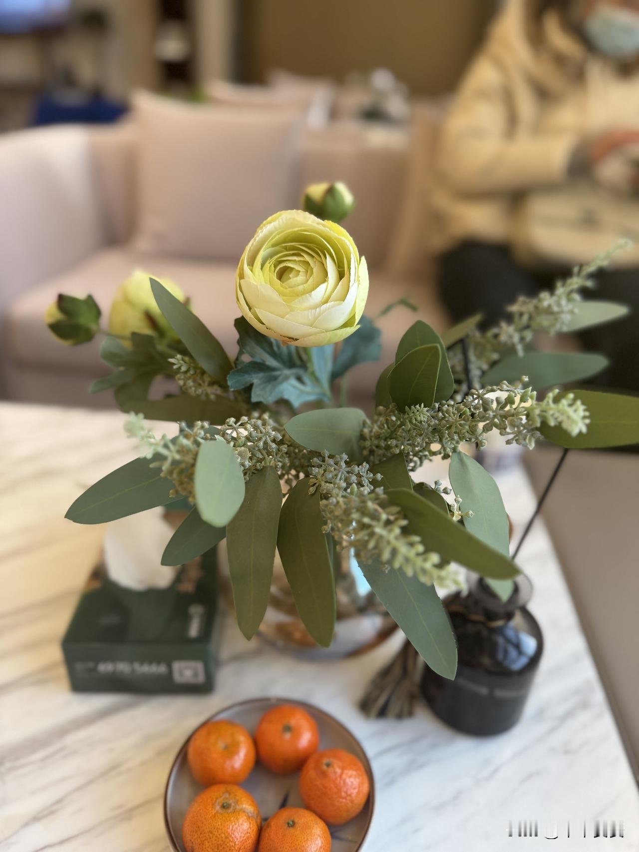 做客小记

冬日午后，赴朋友家做客。刚进玄关，便觉眼前一亮。

屋内通透明亮，浅