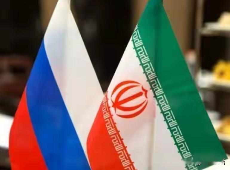 伊朗总统在会见俄罗斯能源部部长时的一句话引发了国际社会的高度关注。

2月18日