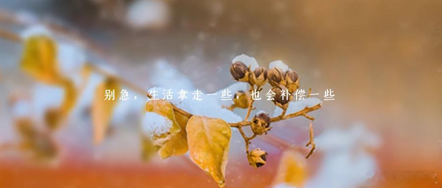 别急，生活拿走一些，也会补偿一些听过一句话：“人生就像坐地铁，一会儿上车，一会儿