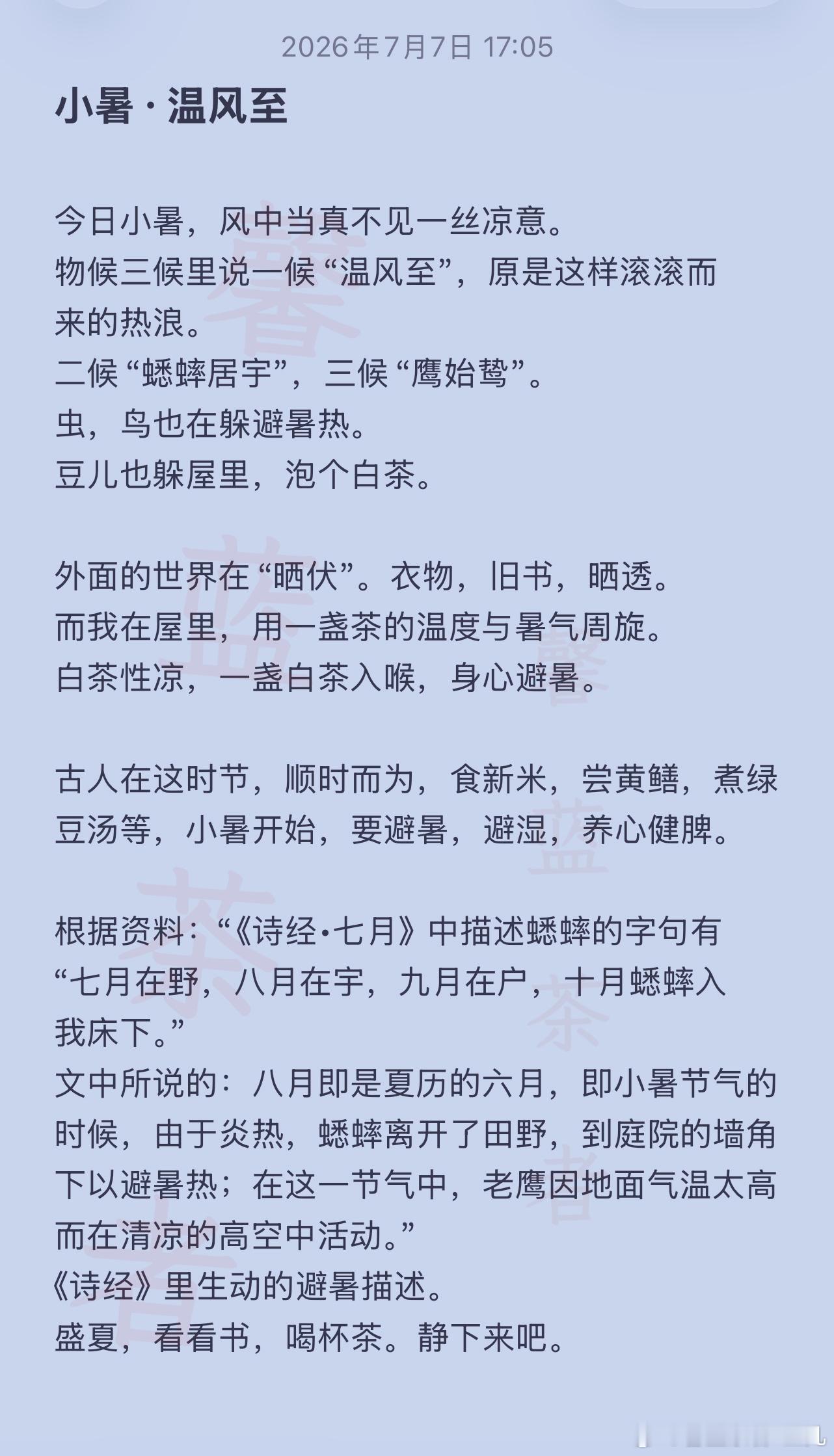 小暑节气，顺时而为，喝杯茶，躲避暑热。一盏白茶，身心避暑，晚上吃个冷串串吧。馨蓝