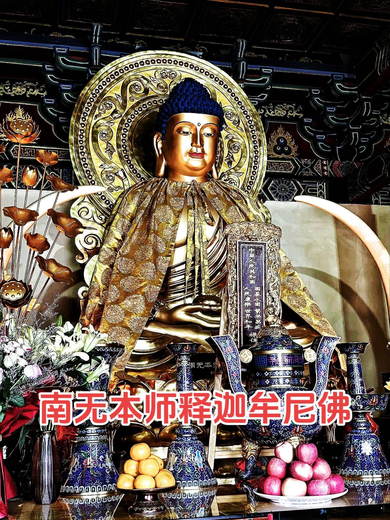 一心顶礼南无本师释迦牟尼佛🙏🙏🙏
一心顶礼消灾延寿药师佛🙏🙏🙏
一心