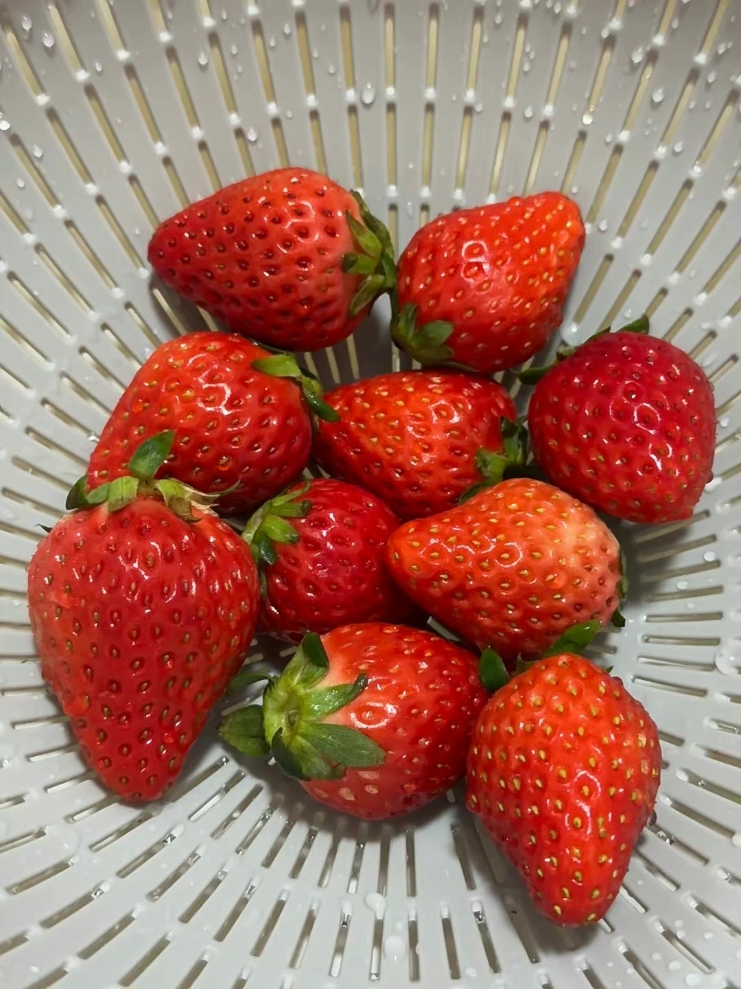 今天早起来会儿，帮朋友办婚礼接亲。等会儿出发今天有点名古德猫宁早饭吃啥 ​​​