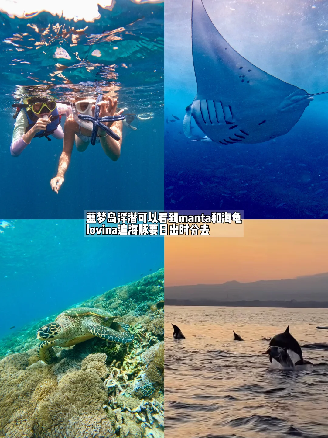 巴厘岛旅行必看💐花小钱直接爽玩的漂亮海岛