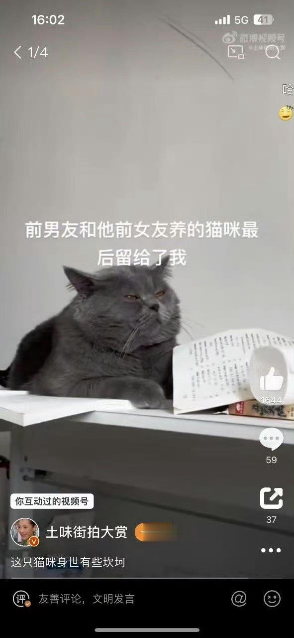 甜馨判给周淑怡哈哈哈哈哈哈哈哈哈 ​​​
