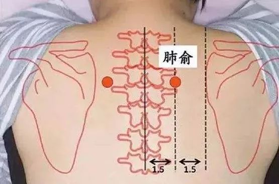 昨天，我在《变美、变年轻的系统性思维》里，说到，女人要掌握一些徒手按摩小技巧，经
