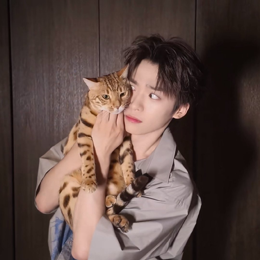 小猫的面相真的会随主人真的吗