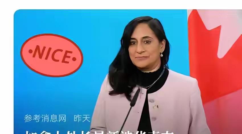 快讯！快讯！

加拿大方面突然宣布了涉华表态。

这回就不绕弯子了，合作不是喊口