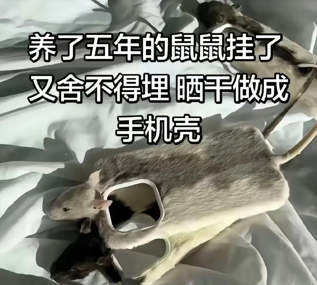 我滴乖乖，这也太夸张太离谱了吧，我只能想到一个词：畸形的爱~ 
