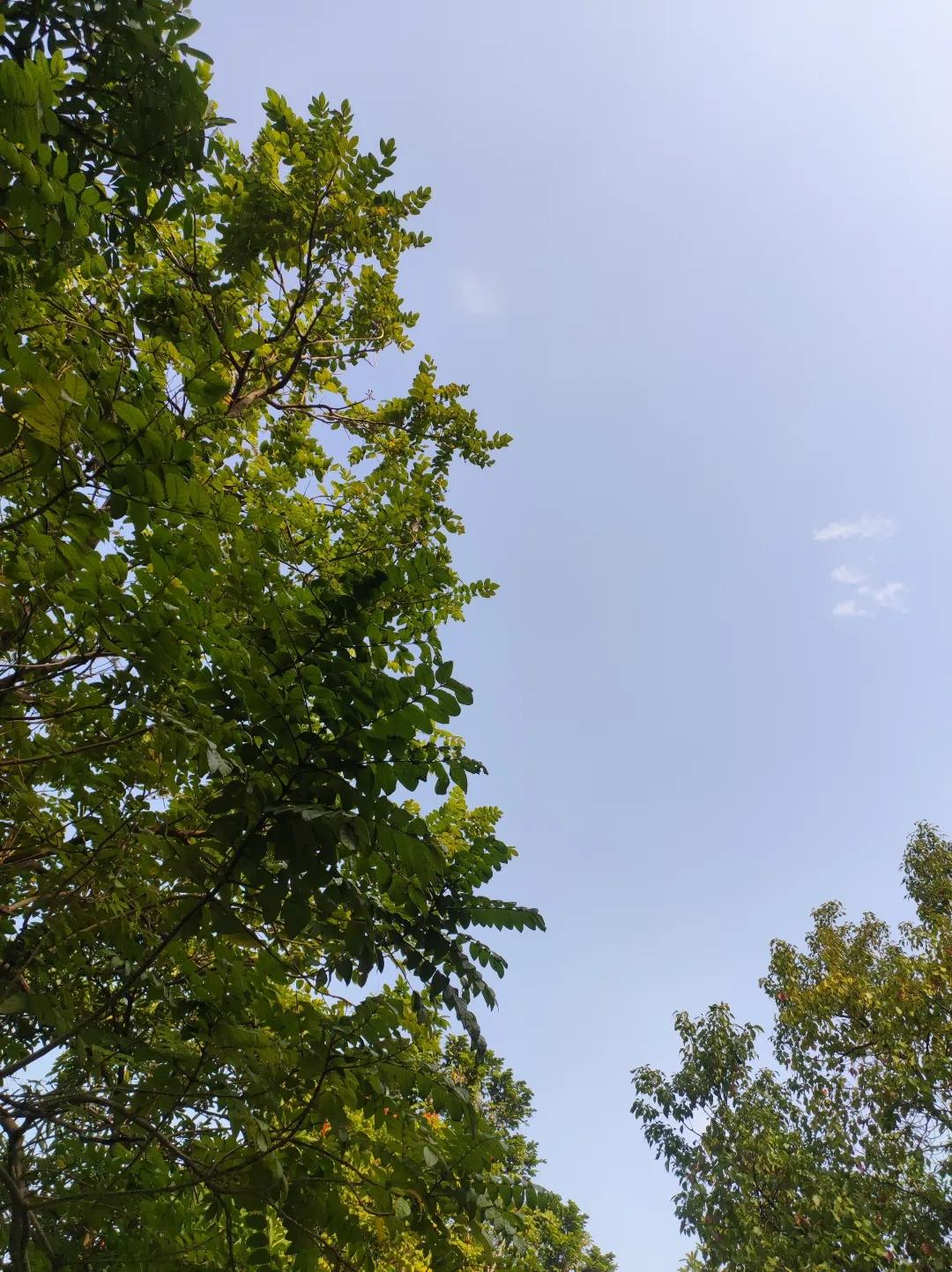 新国标电动车限速25km/h，我觉得是安全和便利的折中。
 
平时骑车通勤，慢点