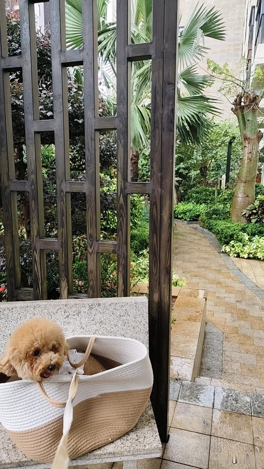 海口用一场雨迎接我，我下午出来吃一碗心心念念的海南汤粉，很久没吃甚是想念这口味道