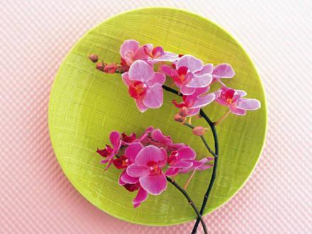 ＃有哪些感触很深的话＃
    人没钱不如鬼，汤没盐不如水，怎样看人不走眼，你会