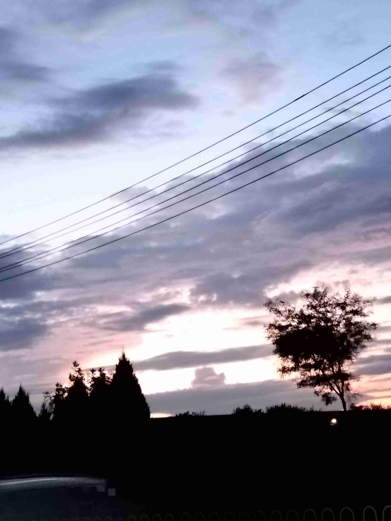 我的今日状态：😁轻松愉快
我这里的天气：☀️晴天