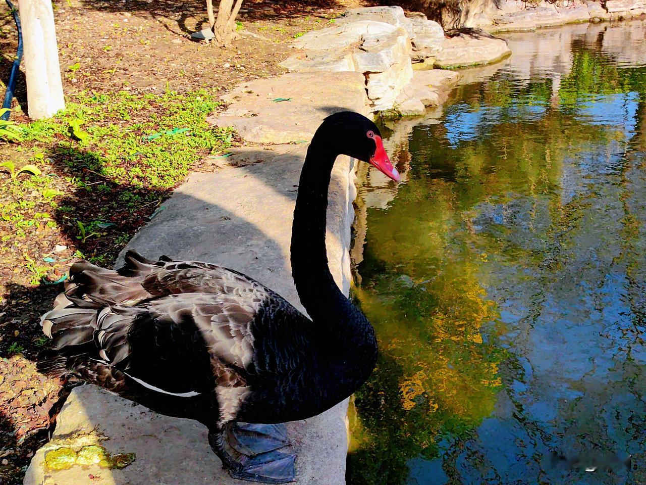 春日的北京三里河公园，依旧是京城闹市里藏着的温柔秘境。每次来这里，我总要去看看那