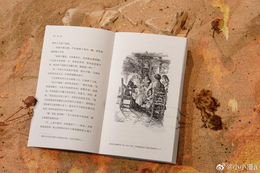 读书多了焦虑就少了书评 《啸风山庄》（又名《呼啸山庄》）作为英国作家艾米莉·勃朗
