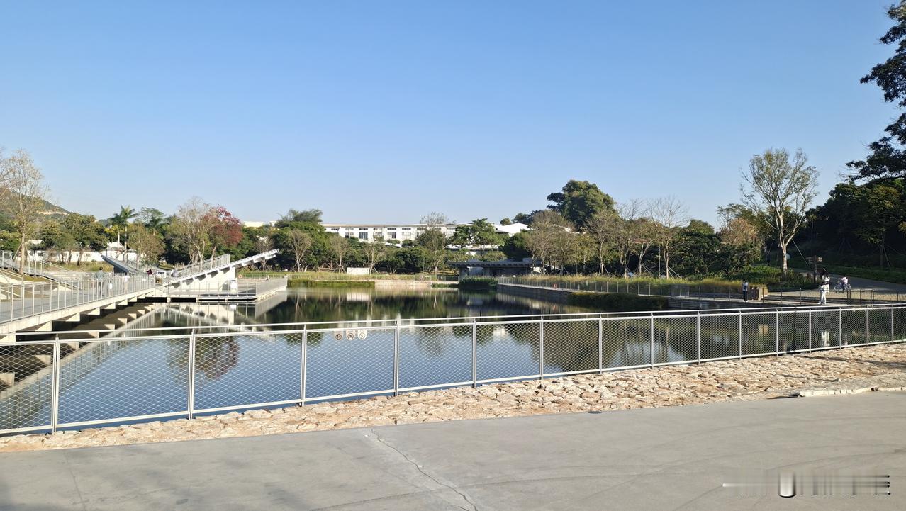 广东的冬天根本不像冬天！草地还是绿油油的，树叶也不落光，大树照样枝繁叶茂。早晚稍