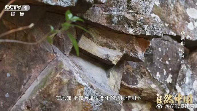 土壤的土腥味从何而来 在广东鼎湖山，科考队员捧起的不仅是黄壤，更是亿万微生物的家