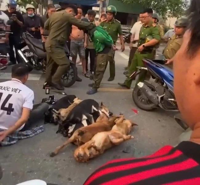 越南胡志明市偷狗贼持自制枪并使用胡椒喷雾与警察搏斗
越南胡志明市平阳区警方在51