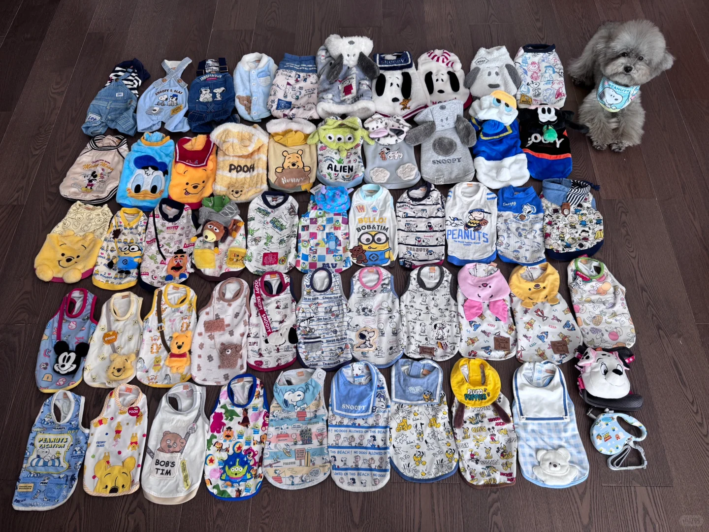 小狗衣柜年终总结