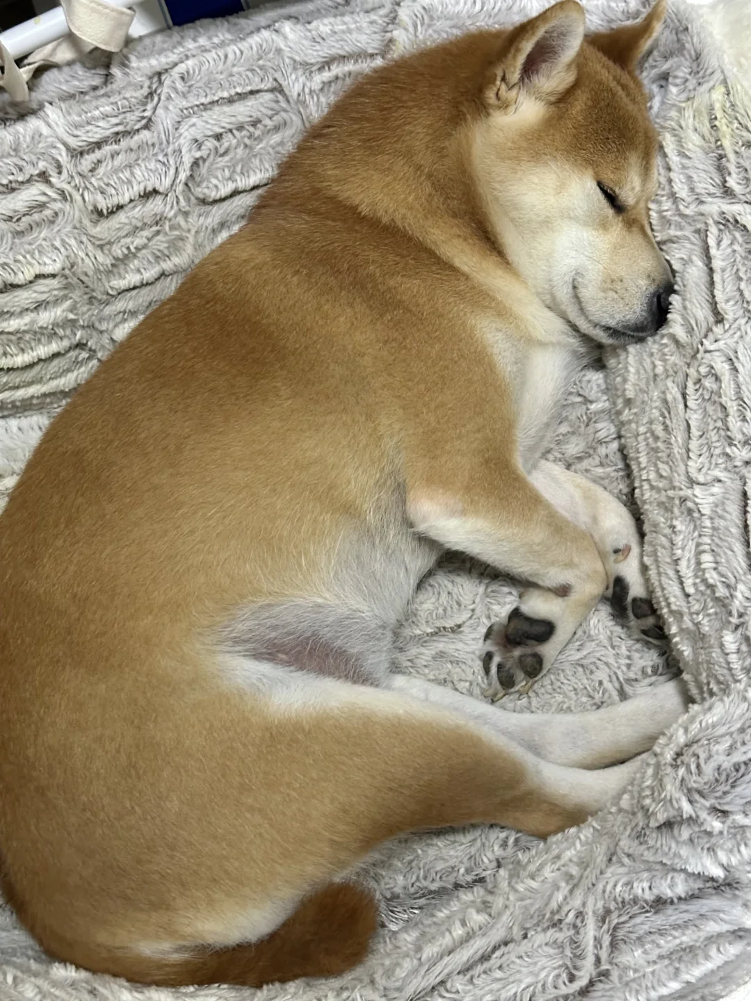 八百个心眼子