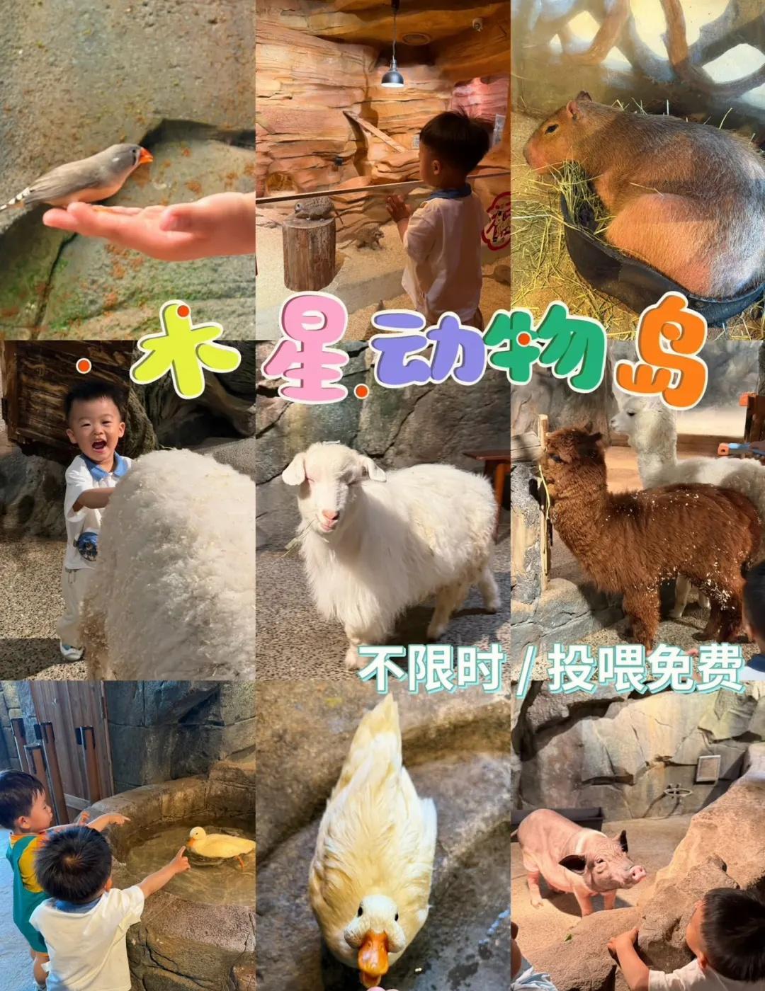 周末遛娃｜在商场实现撸羊驼自由🤭
终于在六一儿童节打卡了杨浦合生汇的「木星动物