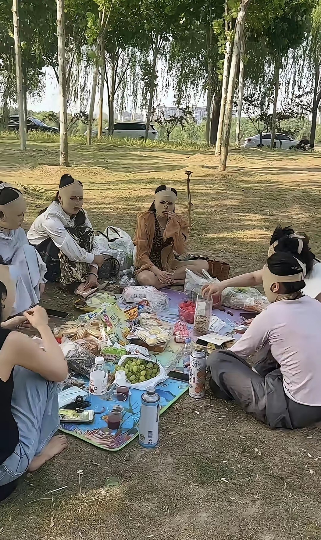 有必要搞成这样吗？这是怕什么 