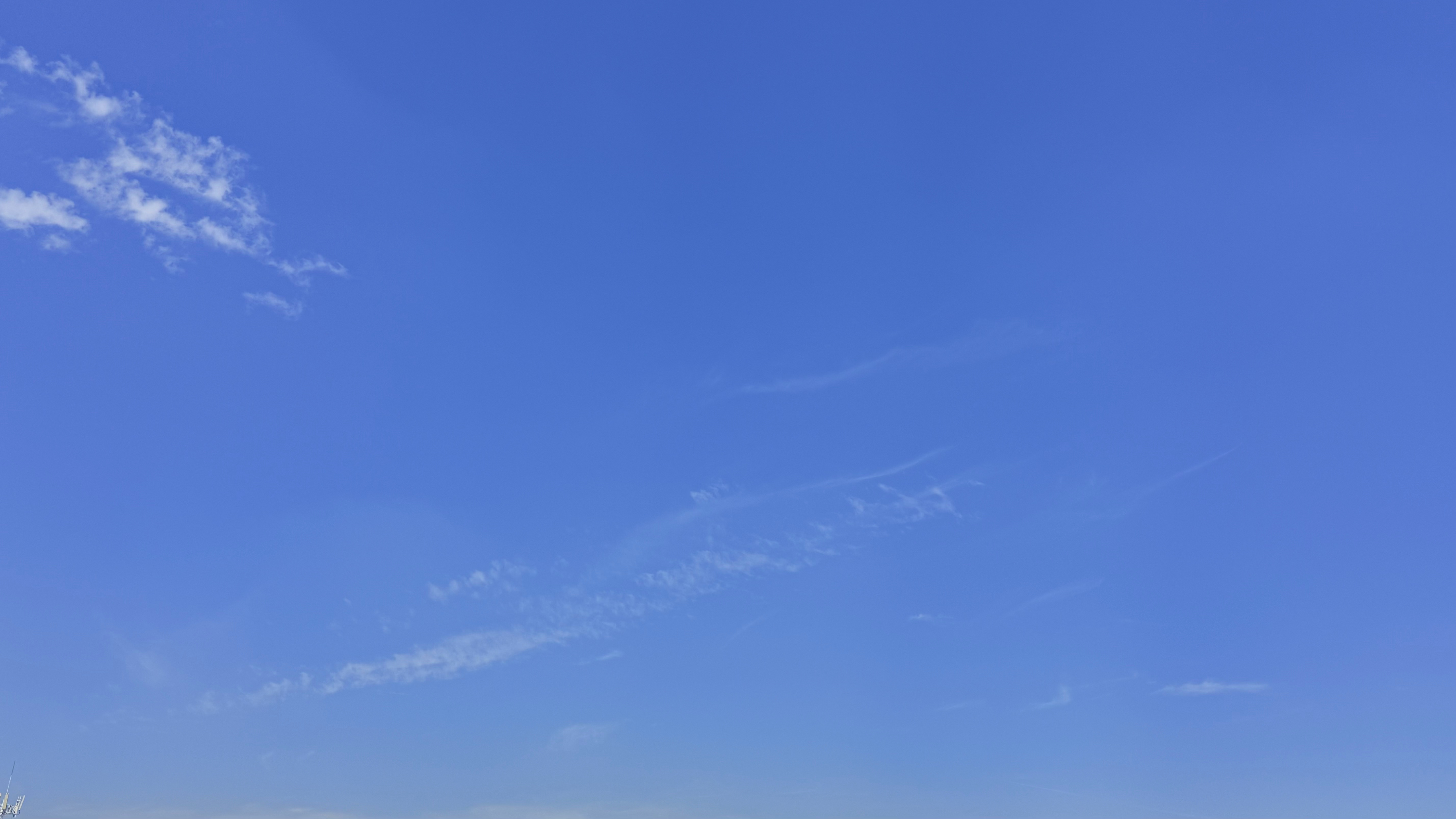 天空任鸟飞。 
