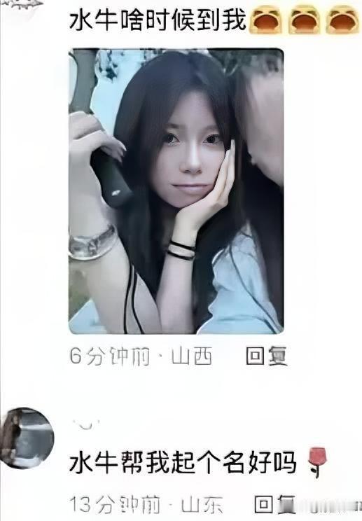 好家伙，司马炎直呼内行，就差在竹叶上洒盐水了。

一个外国白人小伙王水牛，父母给