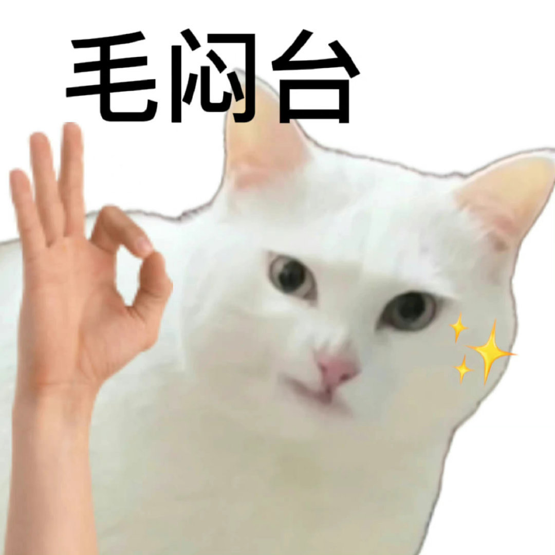 以后要把孙哥家的八卦安排上日程！ ​​​