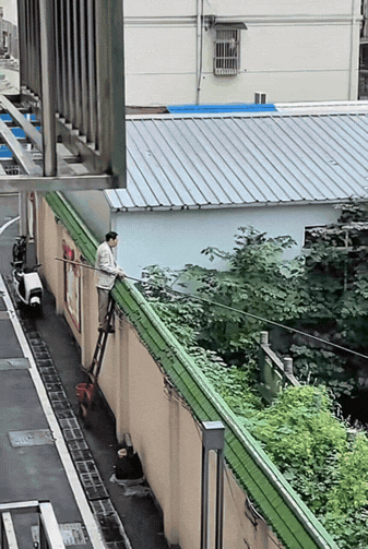 这鱼一定非钓不可吗？