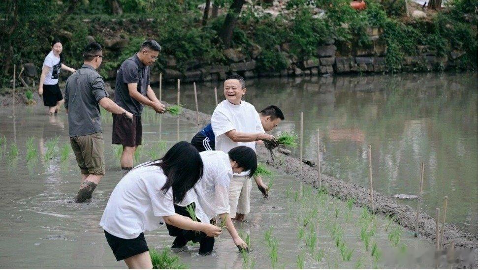 凤凰新闻【马云现身！阿里高管集体插秧，一上午种半亩田】据新浪科技，6月22日，阿