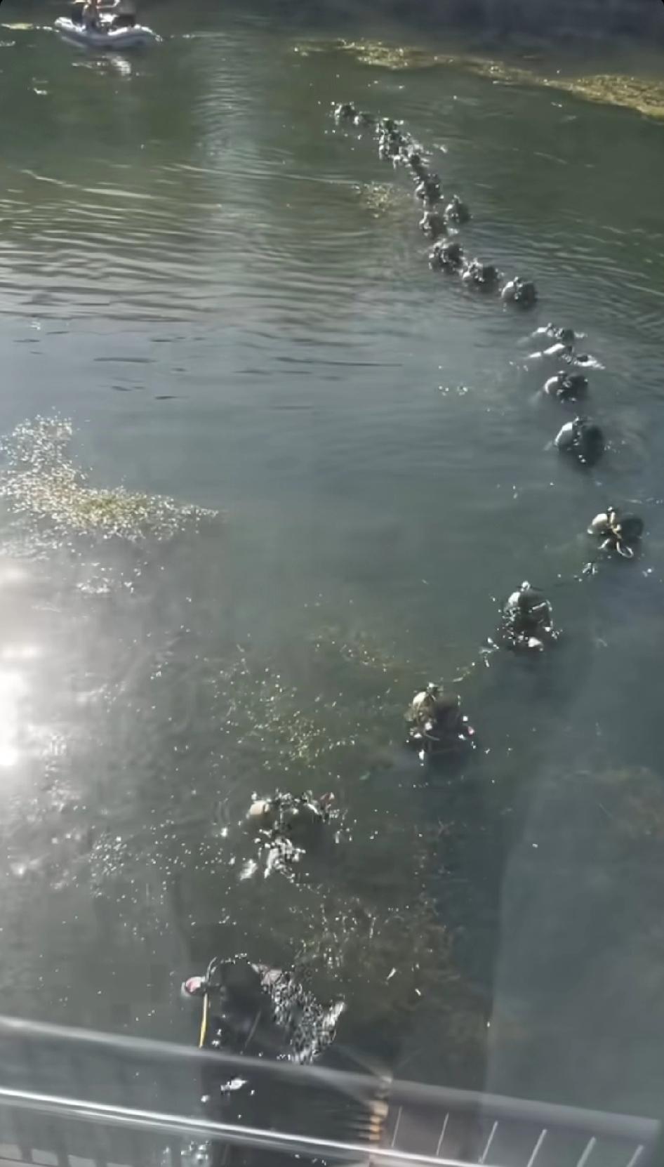 声呐定位潜水打捞百万劳力士，每个潜水员都有摄像头，打捞上来多少钱，没打捞上来多少