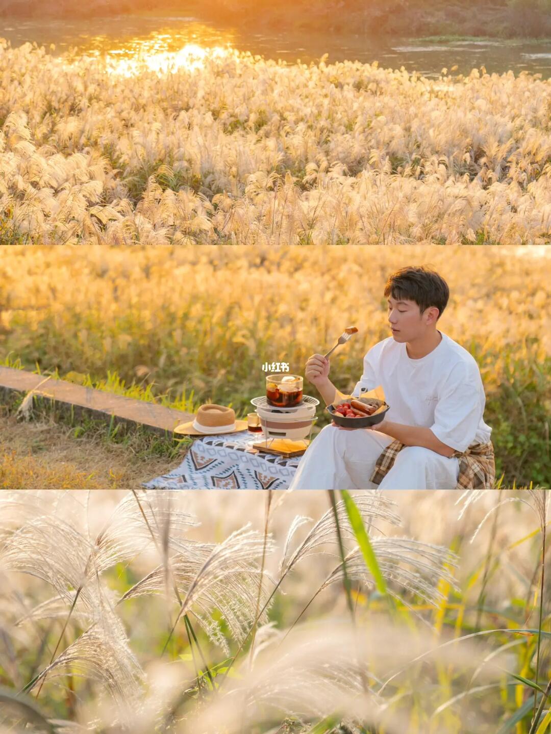 浪漫的不是我🍂是杭州落日时分的秋色