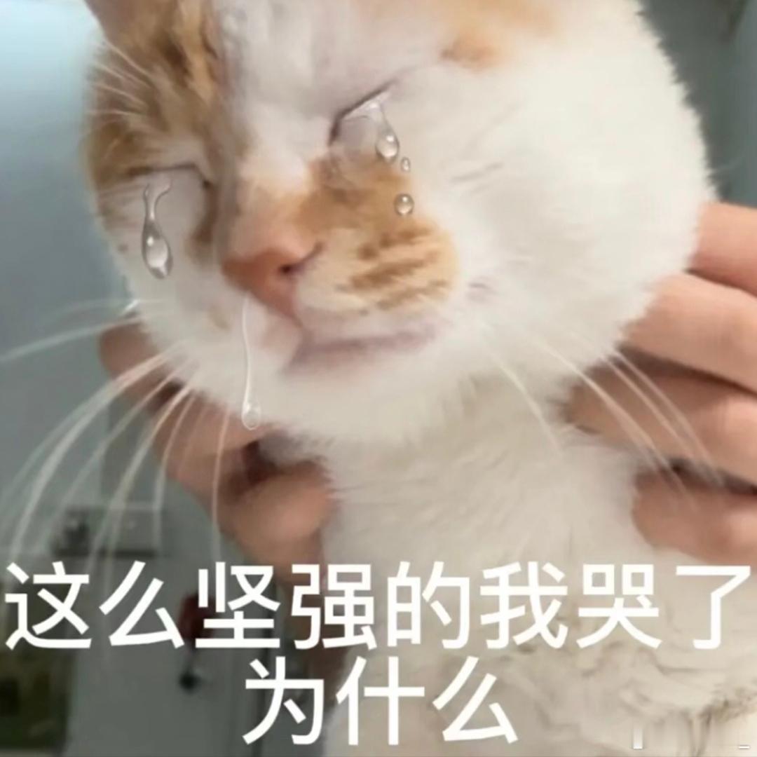 印度被烤糊了印度这高温天，也太吓人了，快五十度了但今年是真的热，广州也感觉好热这