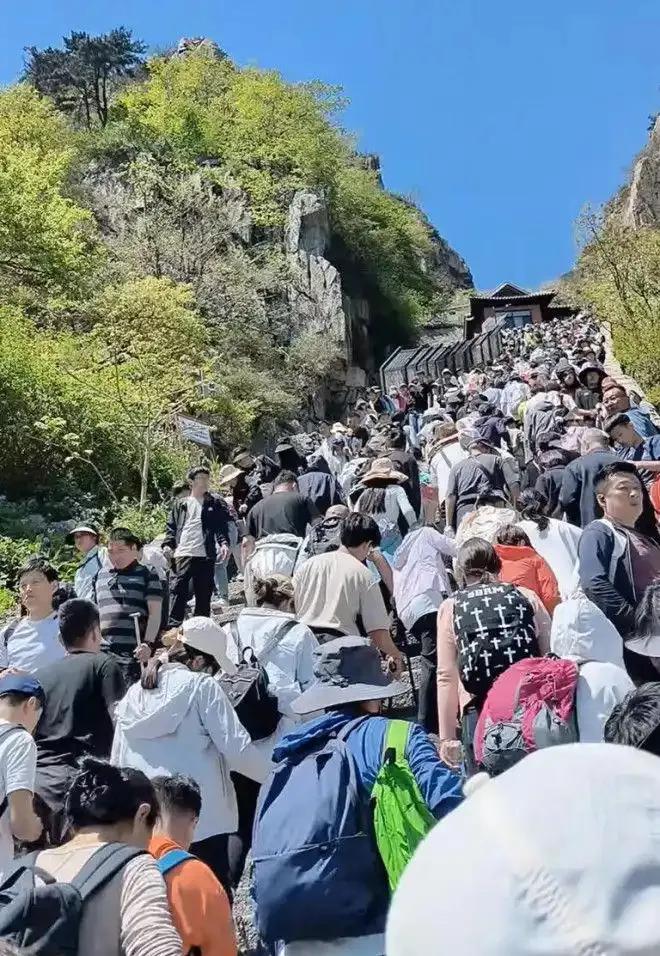 兴冲冲滴跑来泰山，准备尝试一下十八盘的人头攒动头顶屁股的名场面，结果……人家封山