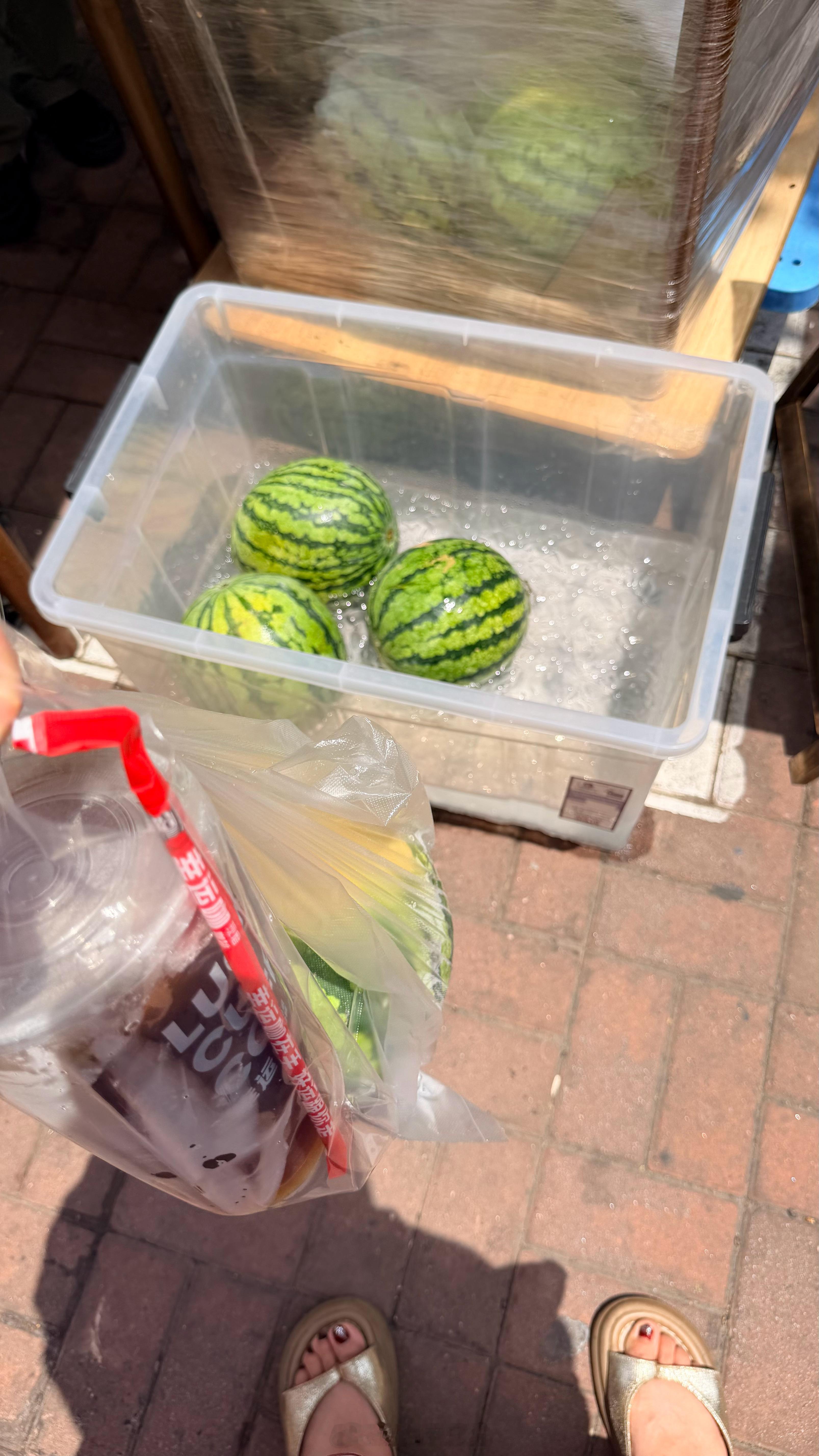 不买咖啡可以免费吃西瓜…买了咖啡送一个整西瓜～不愧是我们雪王，又可爱又善良～