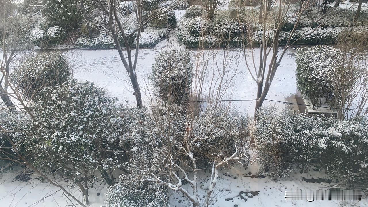 晒图笔记大赛冬日雪景，静谧如画，感受大自然的宁静与美好。