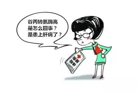 体检报告单转氨酶飙升先别慌！医生给出权威答复，大批人白白焦虑
 
拿到体检报告看
