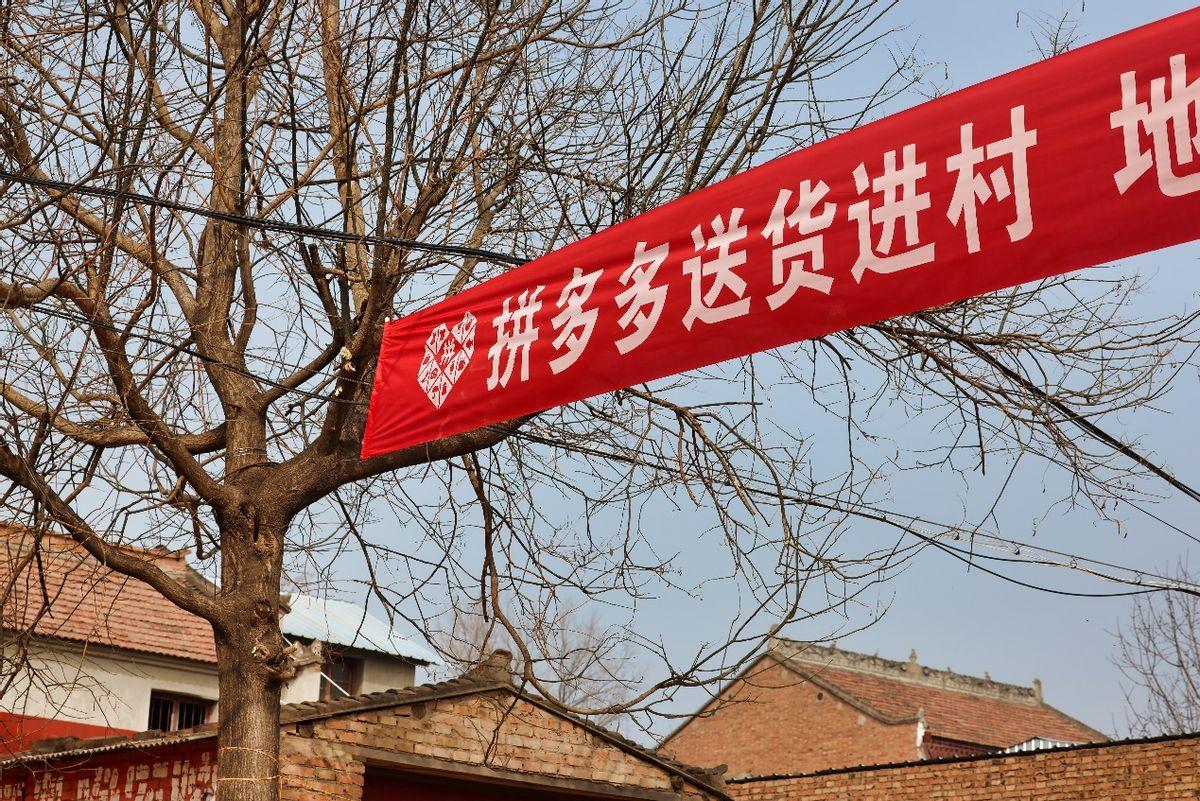 “网上买，村里取”成为现实，拼多多“免费送货入村”模式引人大代表热议

在刚刚闭