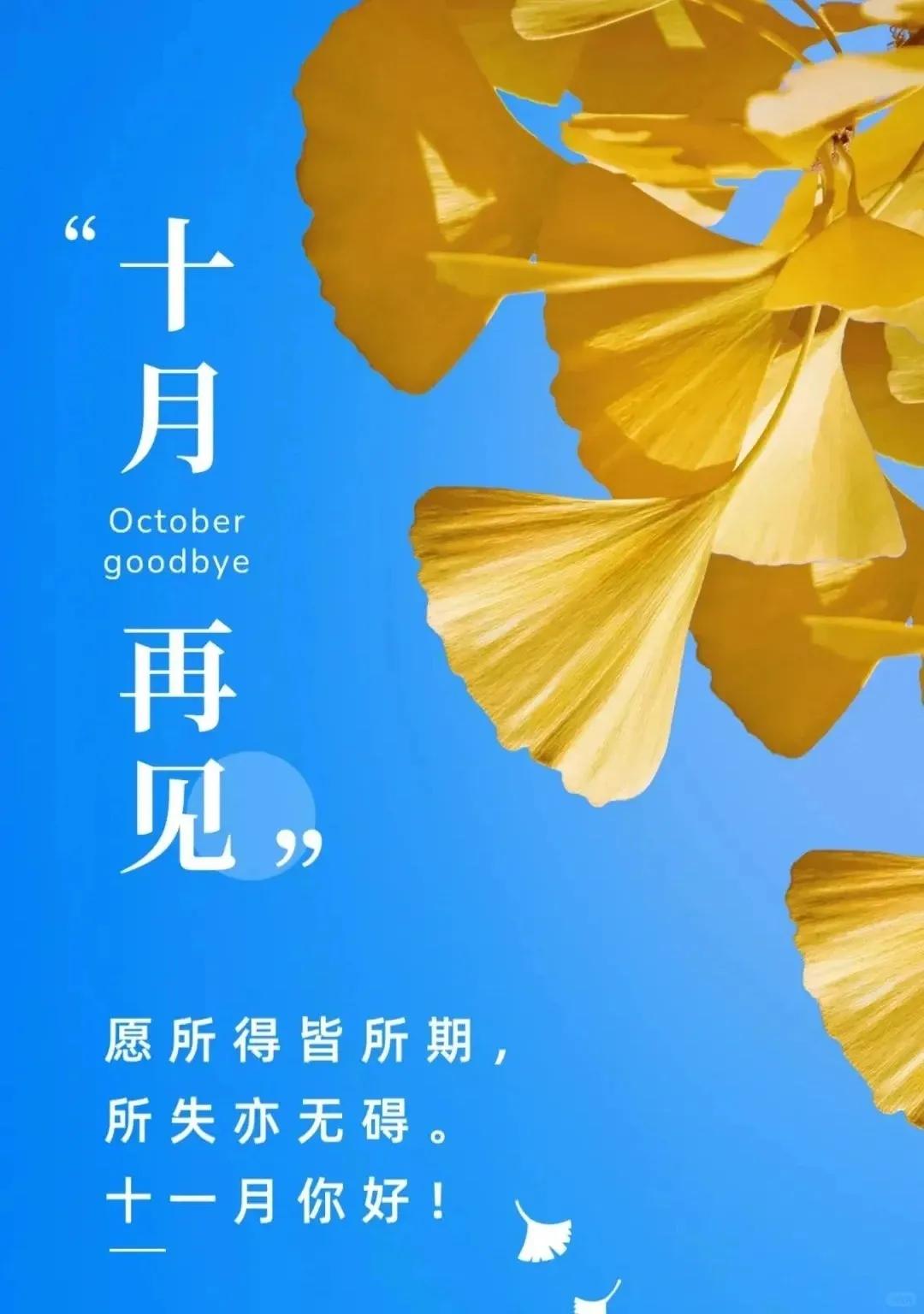 ²⁰²⁴/₁₀.₃₁ᵕ̈ 10月再见朋友圈早安文案 

🍒🌷̰̃²⁰²⁴/₁