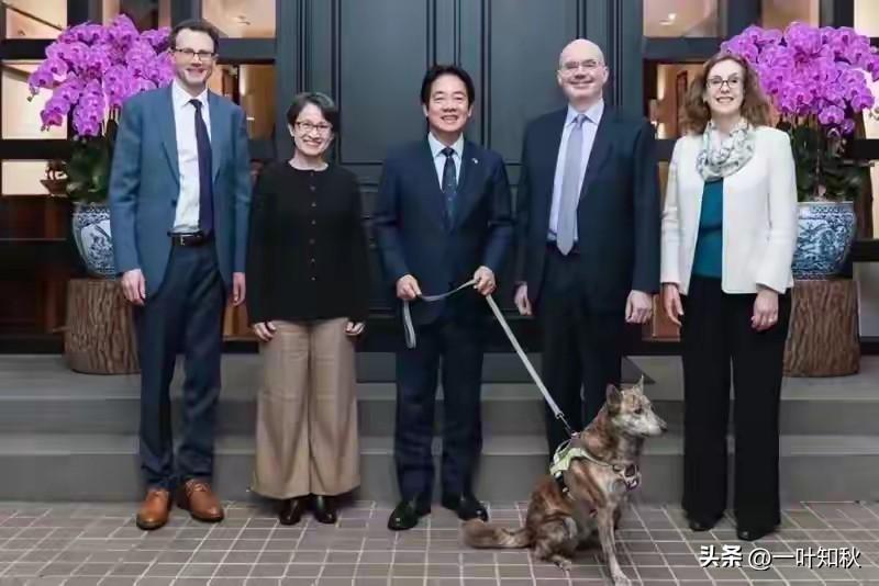 赖清德牵狗在（美）谷立言面前表忠心：“我就像你面前的狗，随时听从召唤”。
赖清德