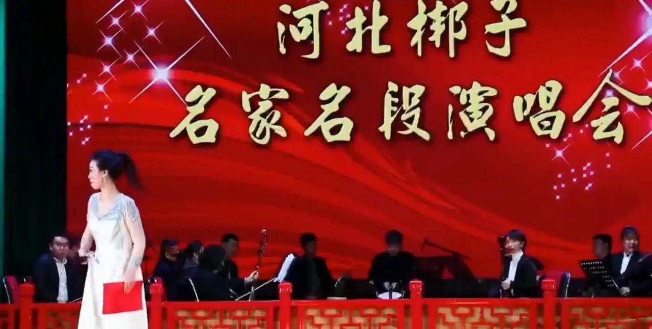 最近，天津河北梆子剧院又一次把好戏送到基层乡村，这次直接开到河北某地卢府庄村，现