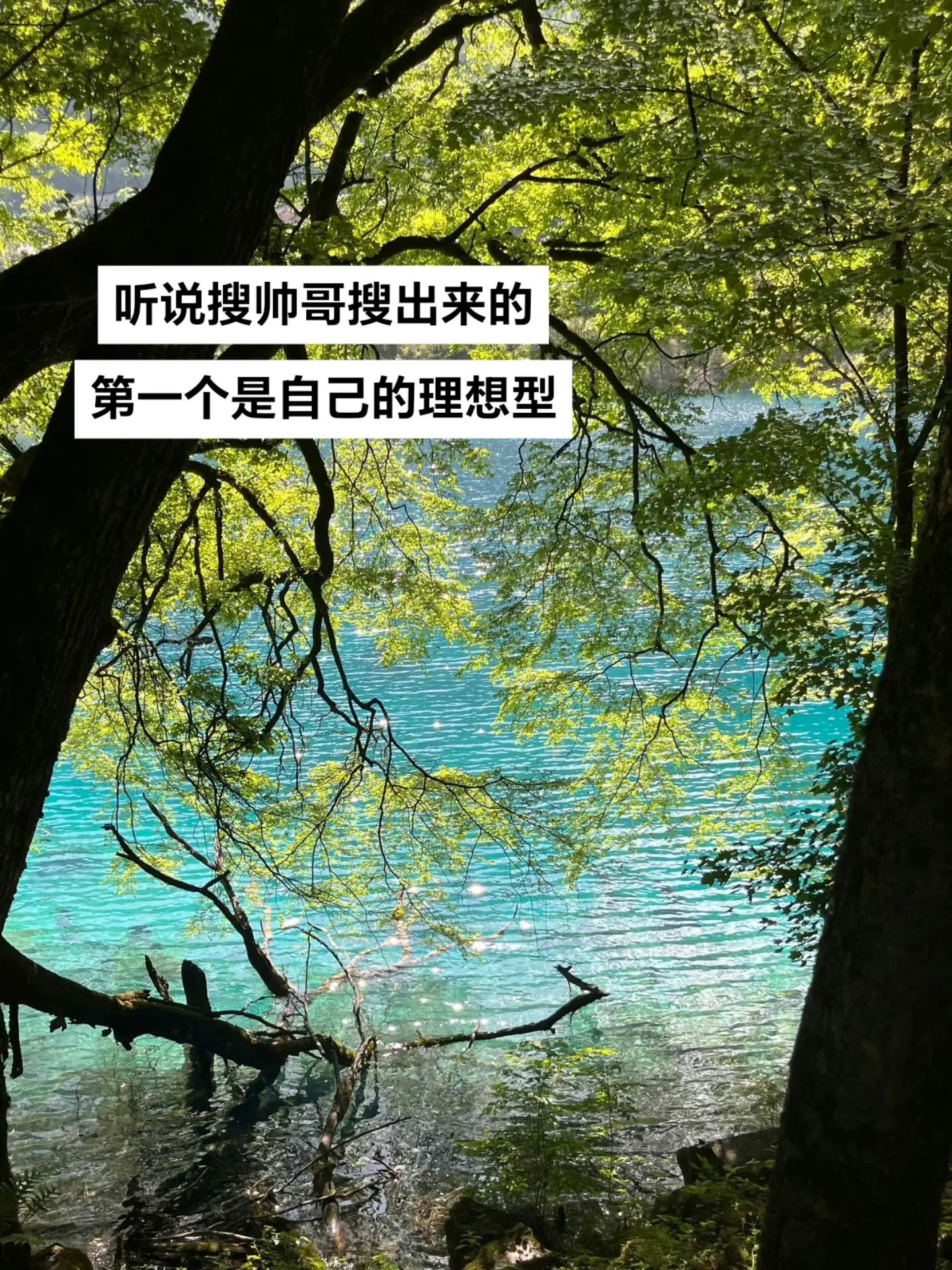 没错，鹿晗就是我的理想型