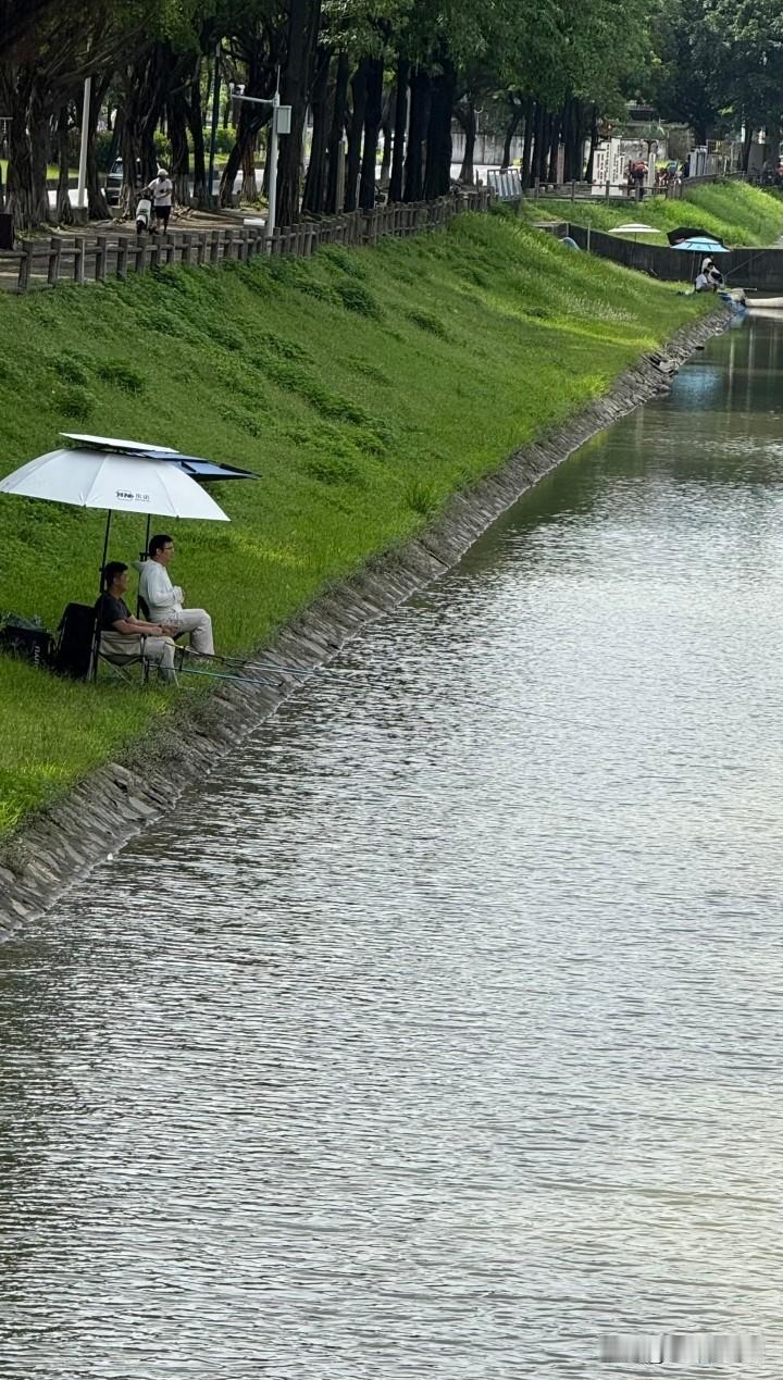 这些人不怕日晒雨淋，比整天在空调房刷手机要健康。